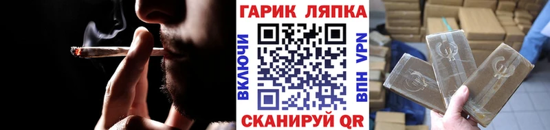 ГАШ Premium Разумное