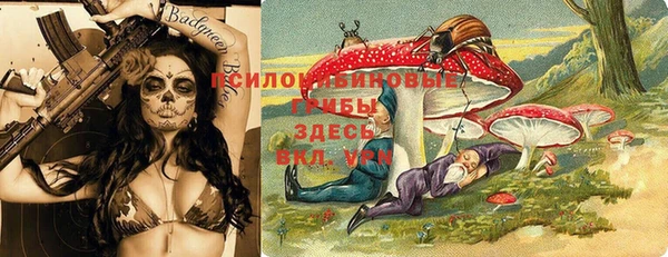 прущий лед Нея