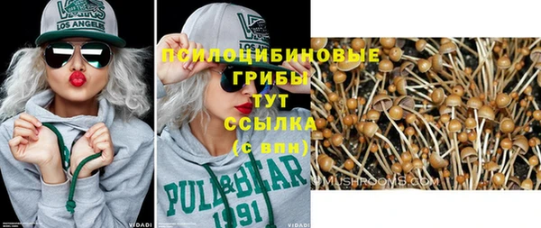 ешки Нефтекумск