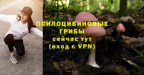 круглые Новокубанск